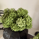 Angelica in a Ridged Metal Vase