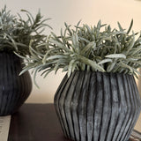 Podacarpus Bush in a Frosted Glass Ridged Vase