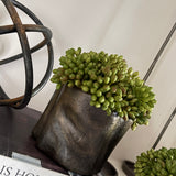 Green Berry in Bronze Wavy Vases