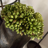 Green Berry in Bronze Wavy Vases