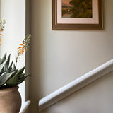 Red Hot Poker in a Terracotta Pot