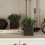 Mini Plant in a Handpainted Bronze Vase