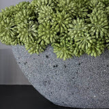 Angelica in a Grey Stone Boat