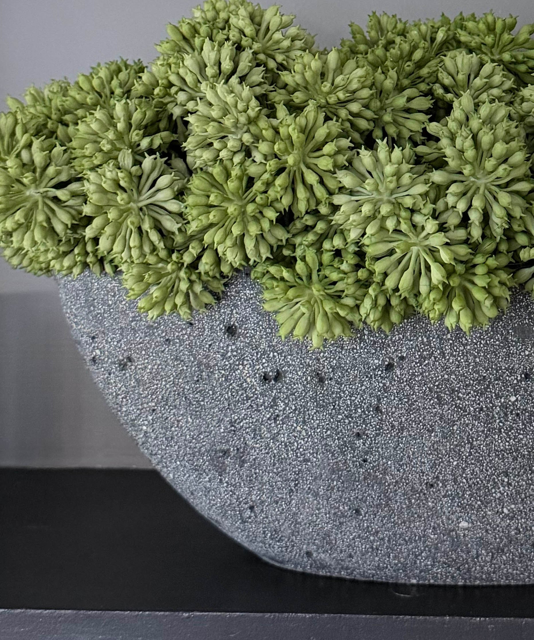 Angelica in a Grey Stone Boat