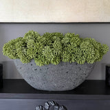 Angelica in a Grey Stone Boat
