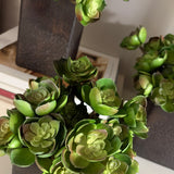 Succulent Branch in a Bronze Textured Cube