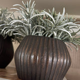 Podocarpus Bush in a Bronze Glass Ridged Vase