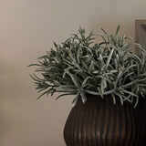Podocarpus Bush in a Bronze Glass Ridged Vase