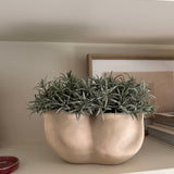 Podocarpus Bush in a Cream Ceramic Wavy Vase