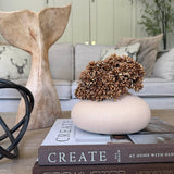 Angelica in a Matt Sand Vase