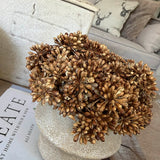 Angelica in a Ridged Glazed Vase
