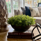 Fragrant Teabush in a Handpainted Bronze  Stone Bowl