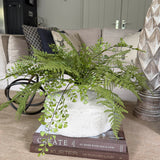 Asparagus and Maidenhair Fern in a Stone Vase