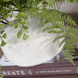 Asparagus and Maidenhair Fern in a Stone Vase