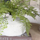 Asparagus and Maidenhair Fern in a Stone Vase