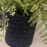 Ferns in a Black Basket ( 2 sizes)