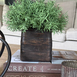 Vanilla Bush in a Handpainted Bronze Cube