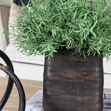 Vanilla Bush in a Handpainted Bronze Cube