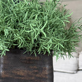 Vanilla Bush in a Handpainted Bronze Cube