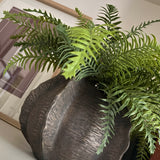 Fern in a Bronze Ridged Bowl