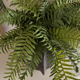 Fern in a Bronze Ridged Bowl