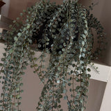Hanging Succulent in a Warm Grey Stone Pot