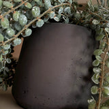 Hanging Succulent in a Warm Grey Stone Pot