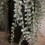 Hanging Succulent in a Matt Black Footed Vase