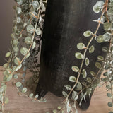 Hanging Succulent in a Matt Black Footed Vase
