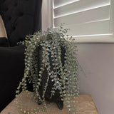 Hanging Succulent in a Matt Black Footed Vase