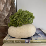Angelica in a Cream Ceramic Vase