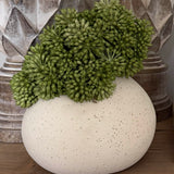 Angelica in a Cream Ceramic Vase