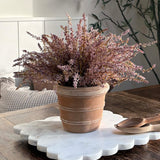 Heather in a Terracotta Ribbed Pot (Light Purple)