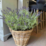 Lavender in a Wicker Basket RTfact Flowers 