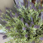 Lavender in a Wicker Basket RTfact Flowers 