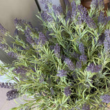 Lavender in a Wicker Basket RTfact Flowers 