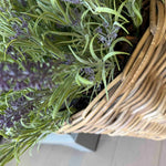 Lavender in a Wicker Basket RTfact Flowers 
