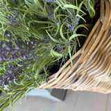 Lavender in a Wicker Basket RTfact Flowers 