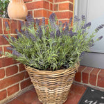 Lavender in a Wicker Basket RTfact Flowers 