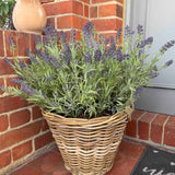 Lavender in a Wicker Basket RTfact Flowers 