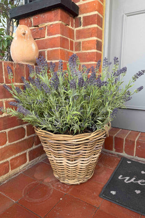 Lavender in a Wicker Basket RTfact Flowers 