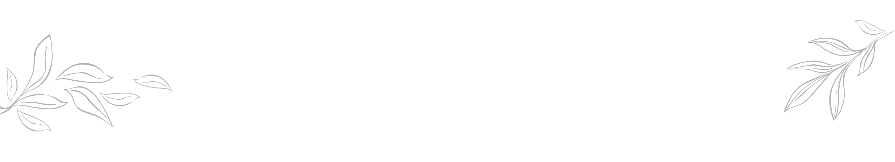 Decorative design with leaves on a white background