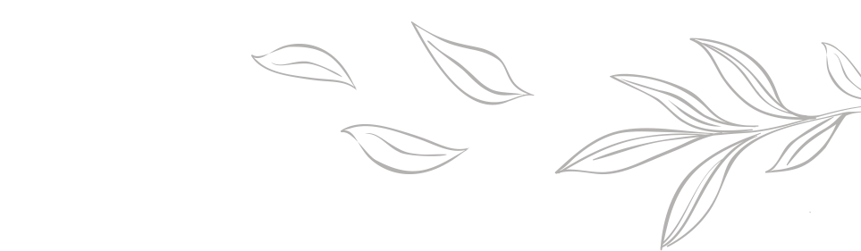 Decorative line art of leaves on a white background