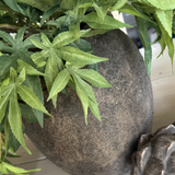 Maple Leaf in a Rustic Sandstone Pot RTfact Flowers 