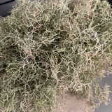 Spanish Moss in a Stone Vase RTfact Flowers 