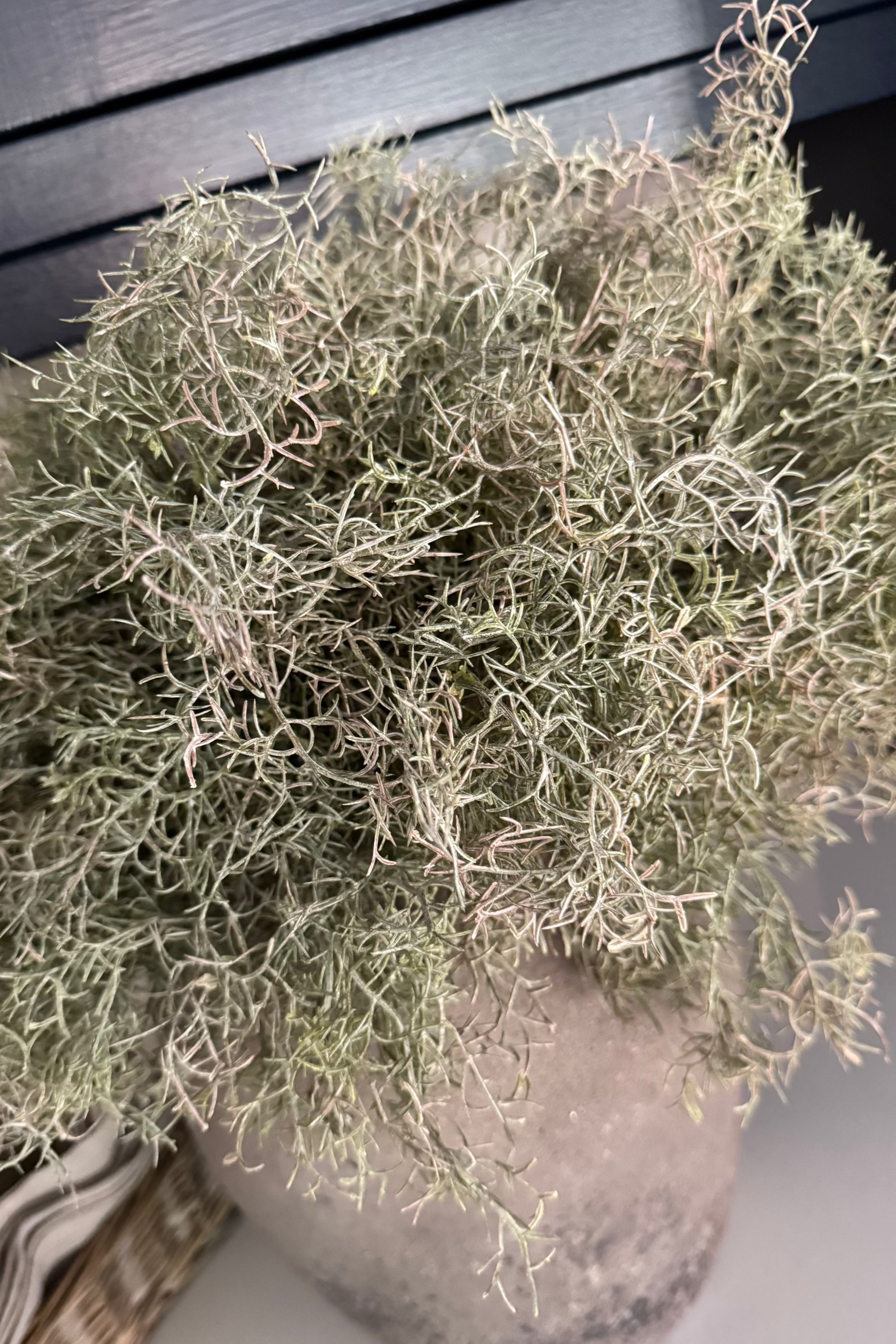 Spanish Moss in a Stone Vase RTfact Flowers 