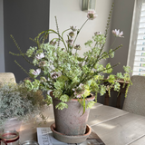 Astrantia and Sea Kale in an Antique Terracotta Pot RTfact Flowers 