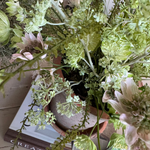 Astrantia and Sea Kale in an Antique Terracotta Pot RTfact Flowers 