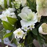 Hellebore, Bucida and Fern in a Dark Grey Stone Pot RTfact Flowers 