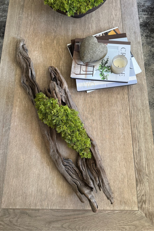 Driftwood with Curly Moss